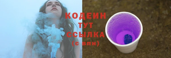 дмт Ладушкин
