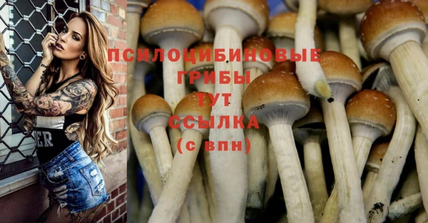 наркотики Лагань