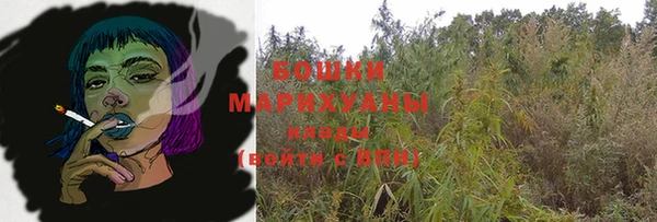 дмт Ладушкин