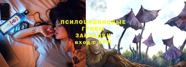 прущие крисы Кулебаки
